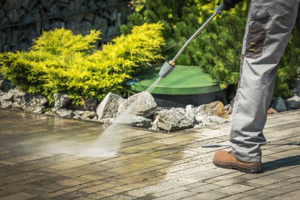 Best Fence Cleaning  in San Pasqual, CA